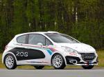 Peugeot 208 R2 Rally Car 2012 года